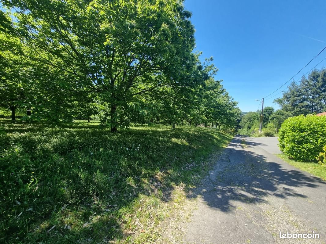 Terrain 4 020 m² Saint Yrieix La Perche (image 1)