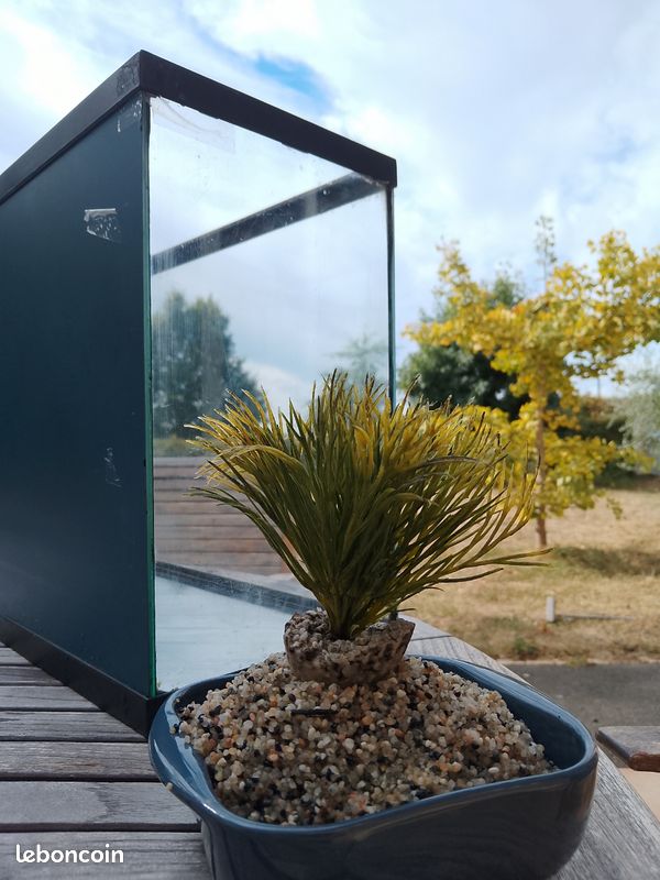 Aquarium 20L avec miroir, nourriture pour poisson, filtre (image 4)