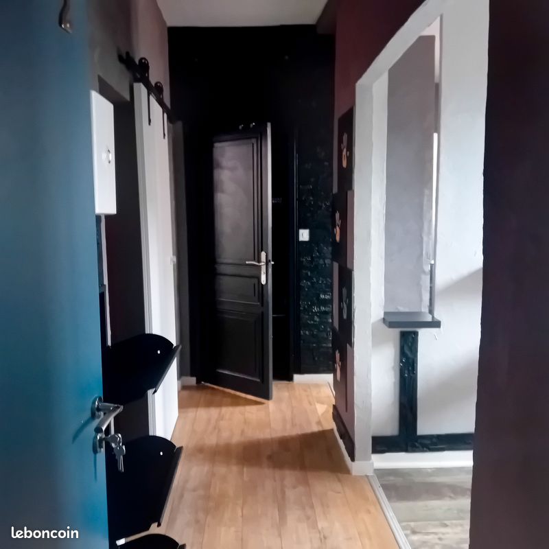 Appartement T2 Bis - Limoges 87000 Centre-Hôtel de Ville Emailleurs (image principale 0)