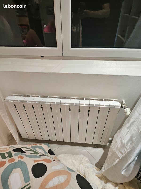 Radiateur (image 1)