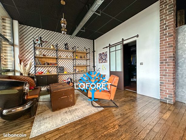 Loft/atelier/surface 6 pièces 223 m²