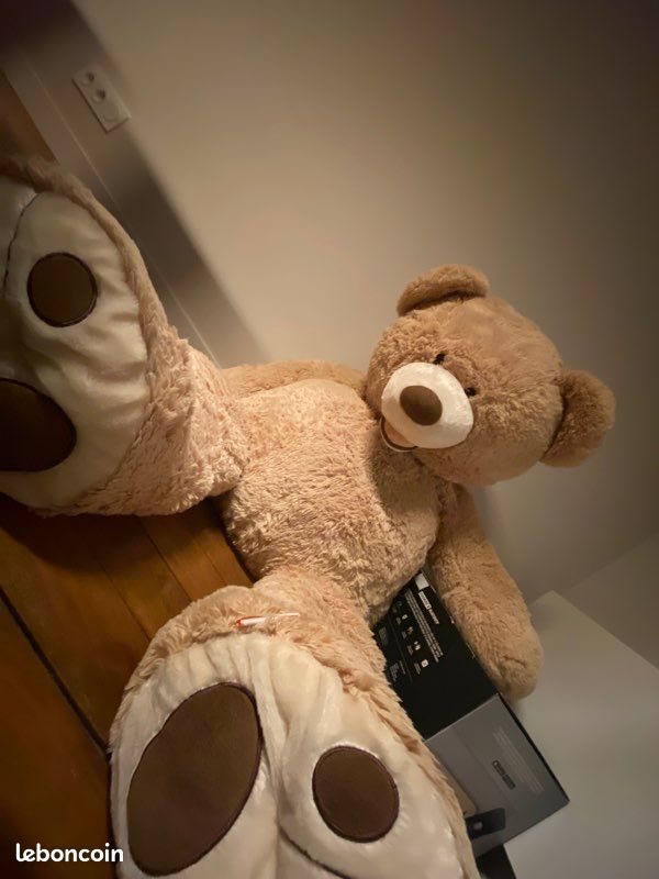 Nounours peluche COSTCO Jeux Jouets