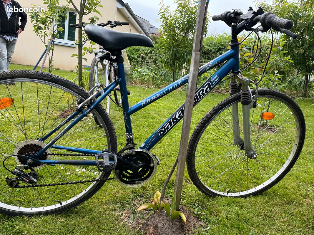 Vélo VTC Nakamura bleu adulte (image 2)