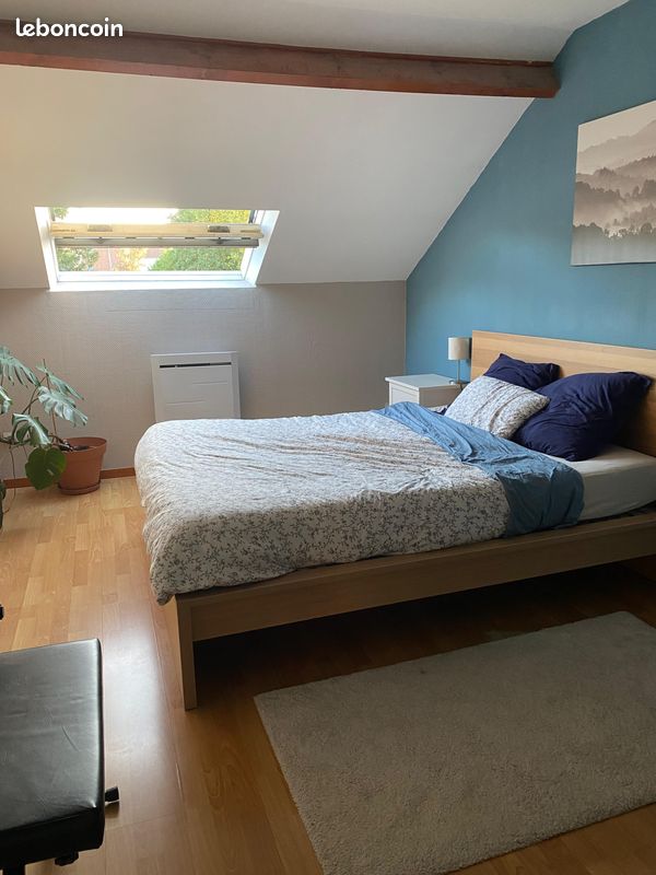 Appartement 3 pièces 81 m² · à Lille · 80,9 m² · 1 000 €/mois