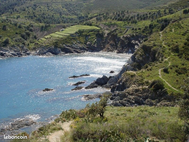 T2 location BANYULS/CERBERE H112 avec CLIM (image 7)