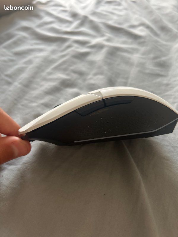 Souris, GX trust blanche avec fil (image 2)