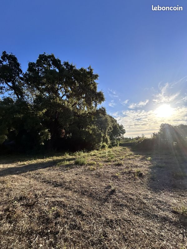 Terrain 1000 m² · à Serra-Di-Fiumorbo · 1 000 m² · 105 000 €