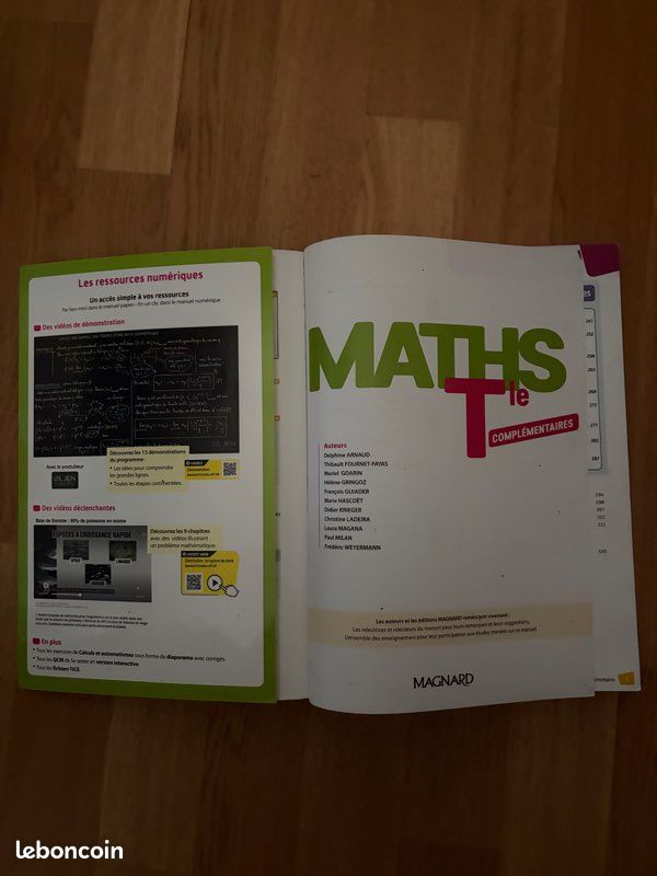 Manuels St Martin terminale (image 15)