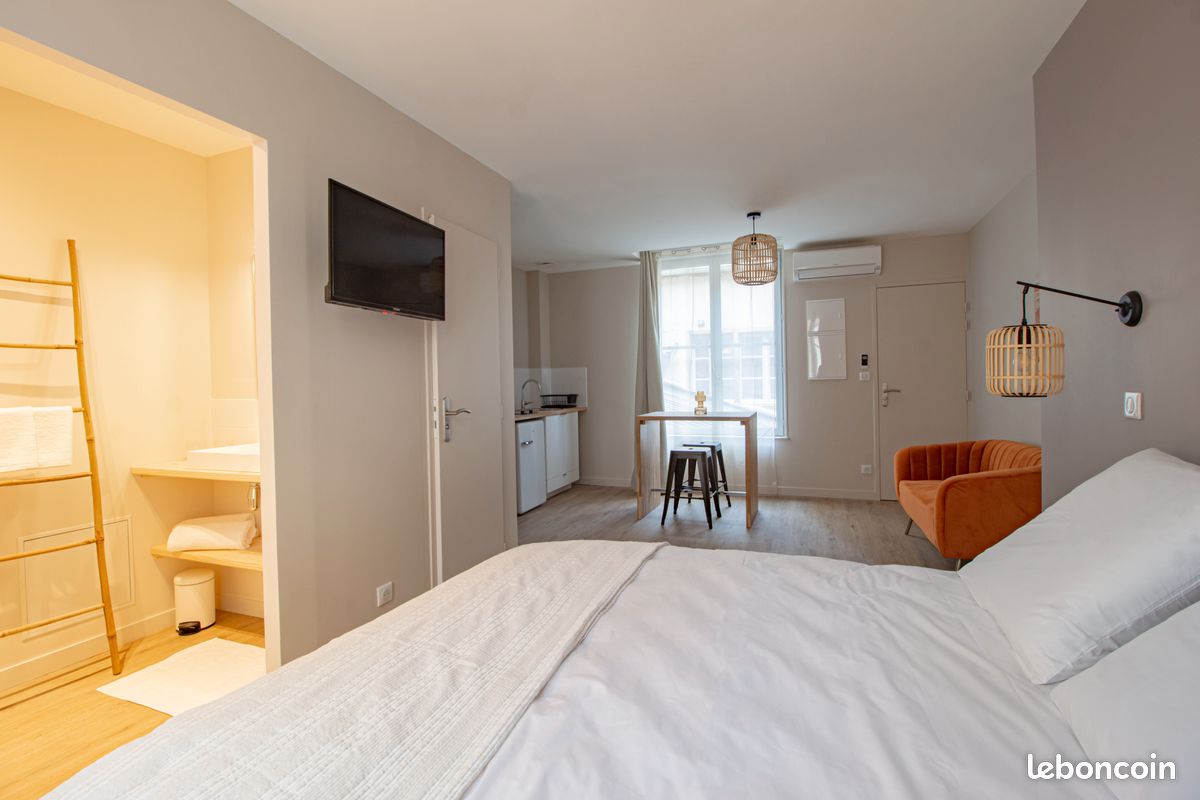 Appartement moderne - coeur de Bourges, Cathédrale (image 5)