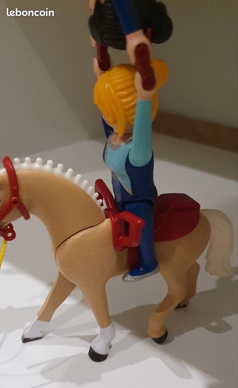 Playmobil Country 6933 Voltigeuses et cheval (image 7)