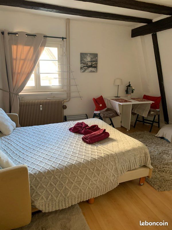 Appartement 1 pièce 23 m² · à Colmar · 23 m² · 560 €