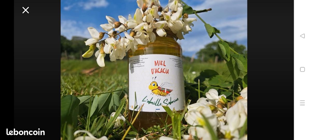 Miel d'acacia (image 1)