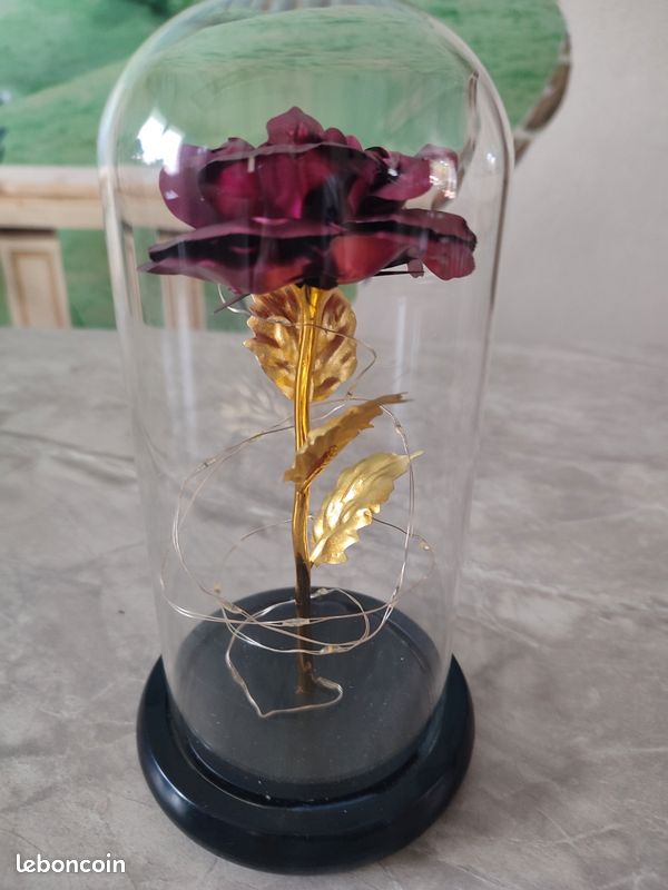 Rose sous globe en verre couleur fushia (image 5)