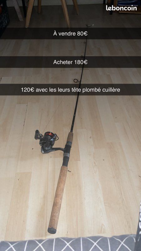 Canne à pêche (leurs) (image 1)