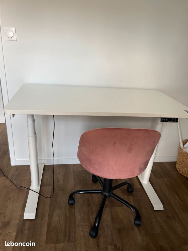 Bureau assis/debout Flexispot (image 7)