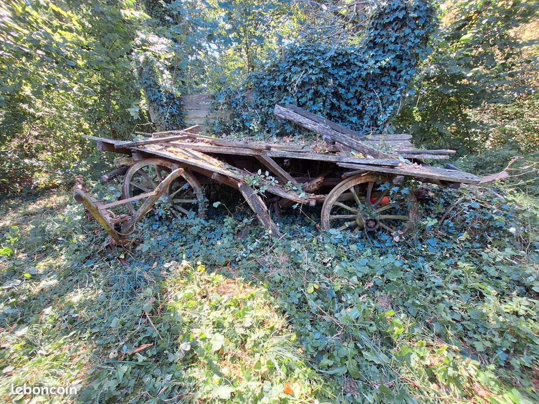 Chariot et charrue anciens (image 1)