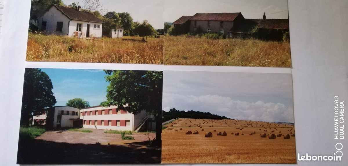 Grand terrain divisible et constructible · à Sainpuits · 110 000 €