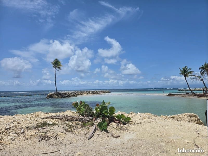 Appartement 2 pièces 41 m² · à Sainte-Anne · 41 m² · 244 950 €