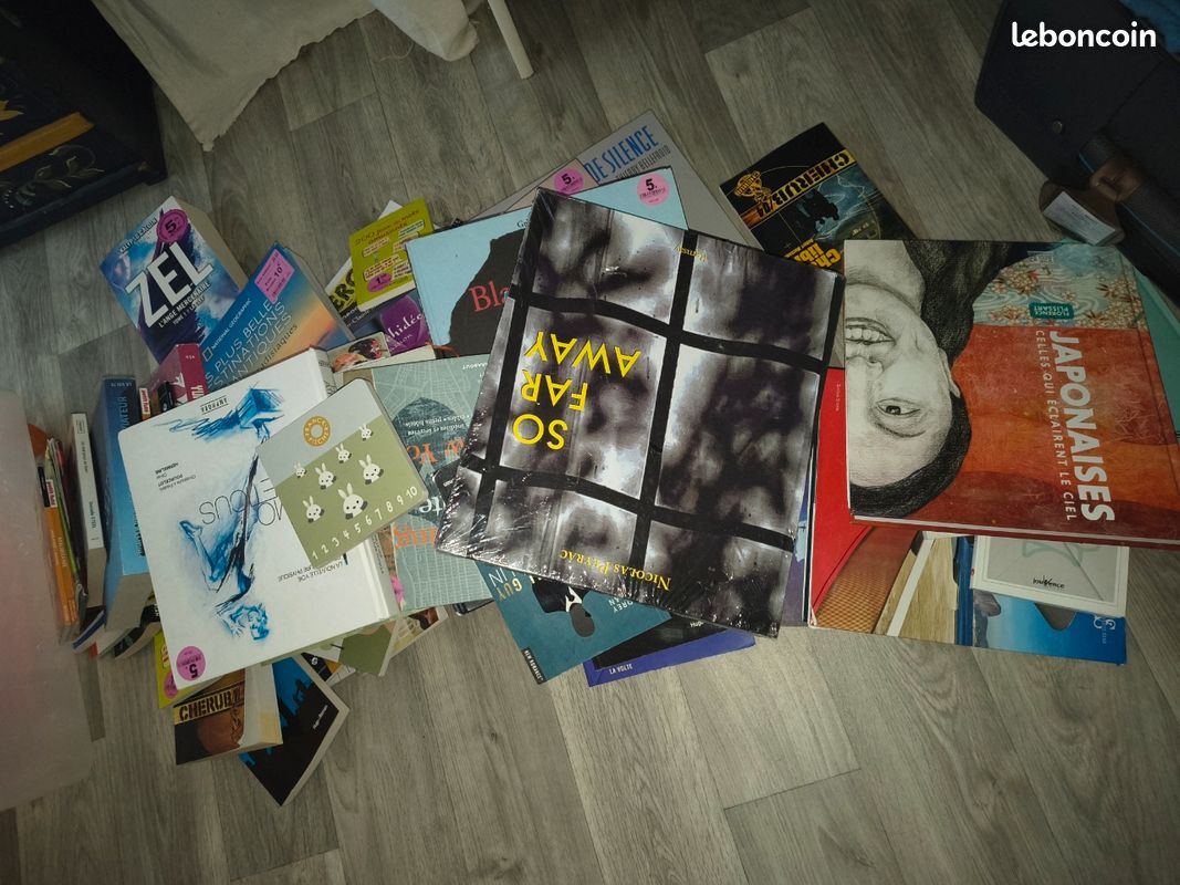 Lot revendeur+ de 50 livres neuf (image 1)