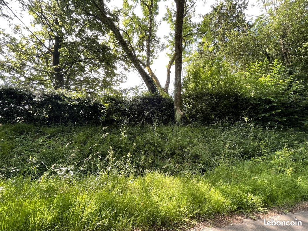 Terrain 1190 m² Sainte-Geneviève (image 8)