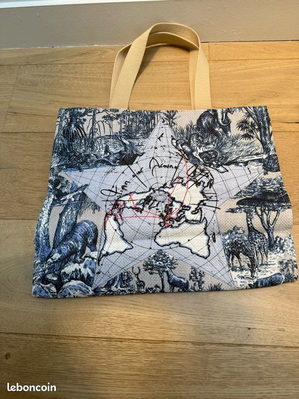 Medical Waste Christian Dior Sac Cabas Sac Cabas DIOR Accessoires