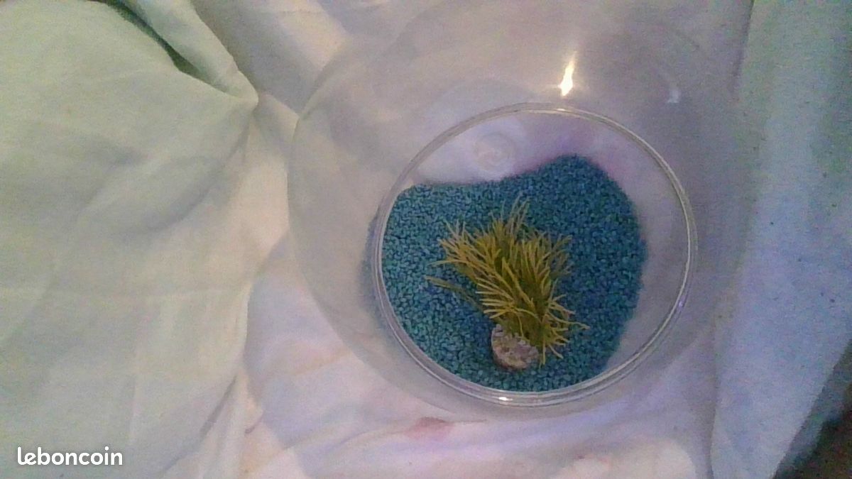 Aquarium (image 1)
