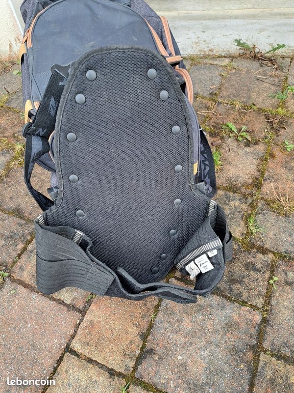 Protection dorsale equitation (image 1)