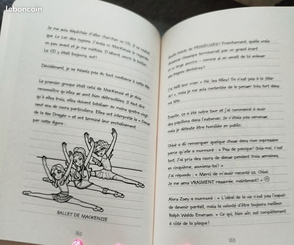 Livre Le journal d'une grosse nouille (image 3)