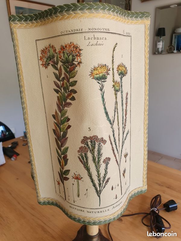 Lampe déco vintage naturaliste (image 7)