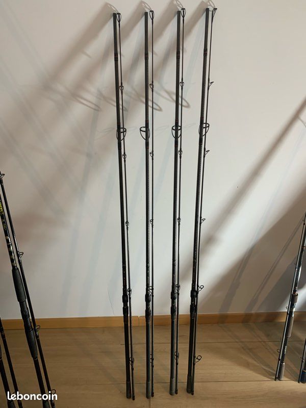 Canne carpe Wildie (image 1)