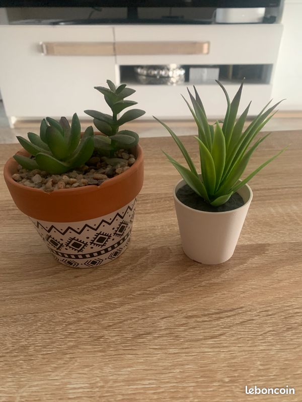 Plantes artificielles (image 1)