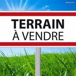 https://img.leboncoin.fr/api/v1/lbcpb1/images/9a/8d/b5/9a8db54fae460baa1aa98d1cad8172fb7e243ddb.jpg?rule=ad-image