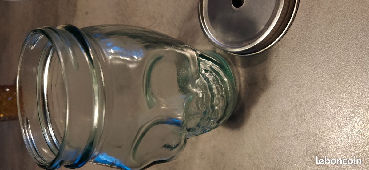 Tête de mort en verre (image 2)