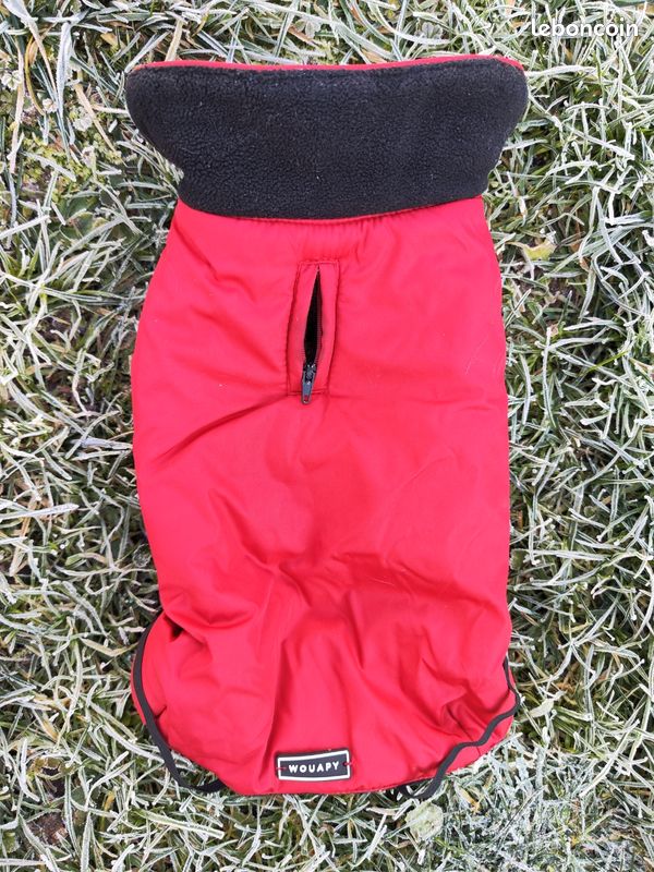 Manteau imperméable pour petit chien Accessoires animaux