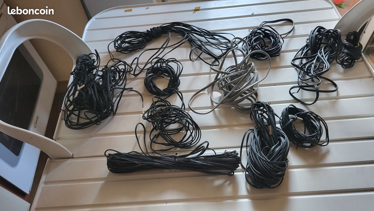 Cables audio simple le lot (EVE) (image 1)