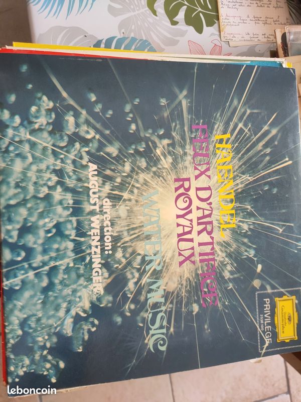 Disques vinyles (image 10)