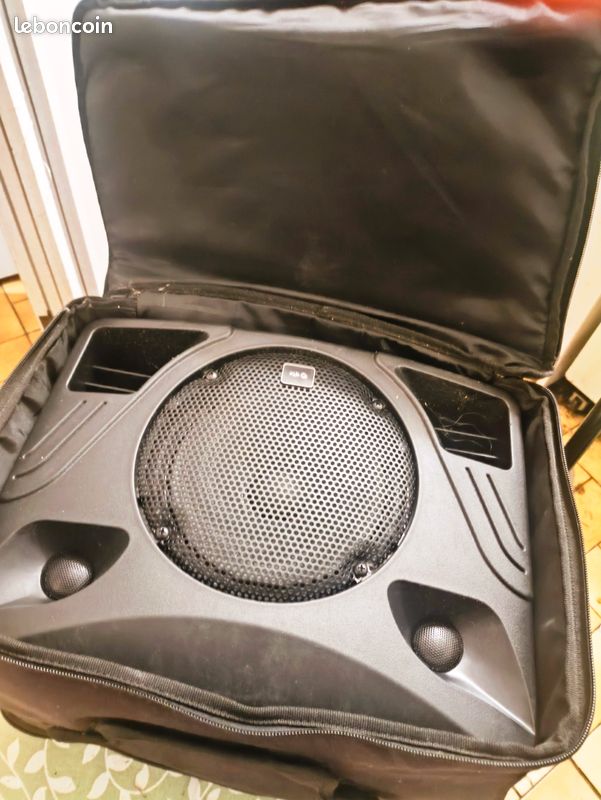 Sono portable QTX Bluetooth + 2 micros sans fil + housse (image 5)