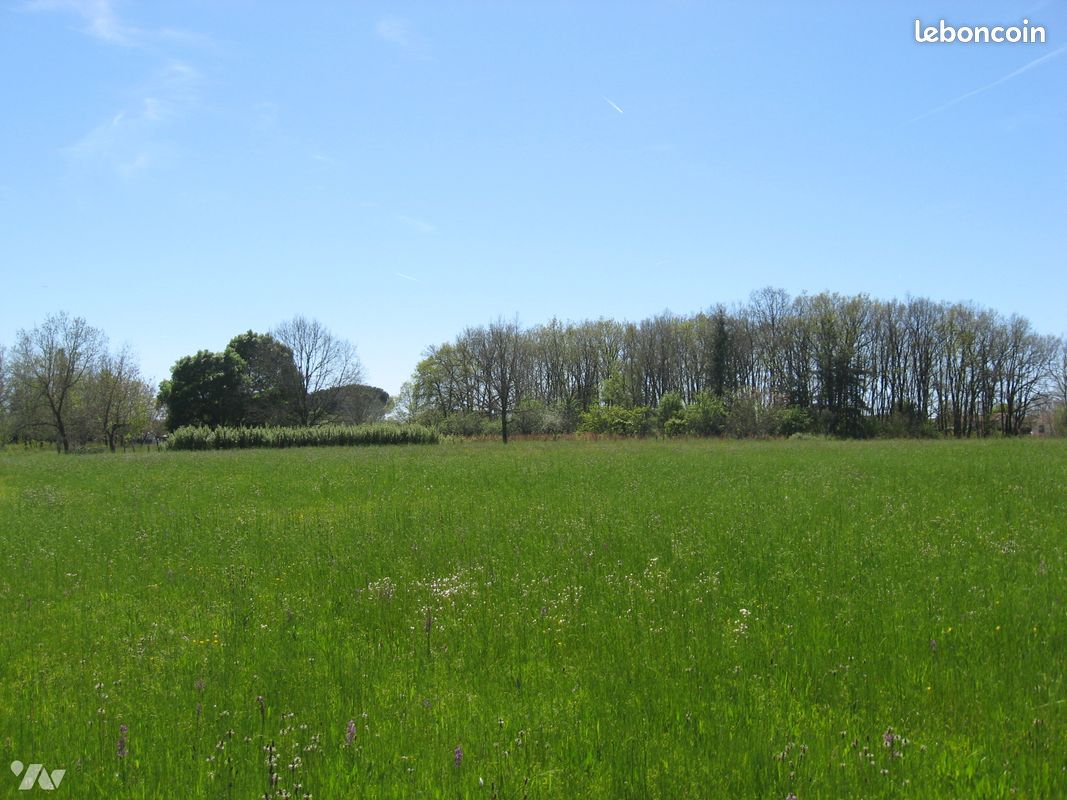 Terrain 27000 m² · à Saint-Sardos · 27 000 m² · 282 700 €