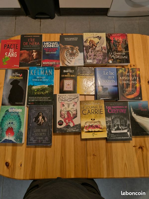 120 livres à choisir dès 5 – Kessel, Romain Gary, Agatha Christie, Fred Vargas… (image 1)