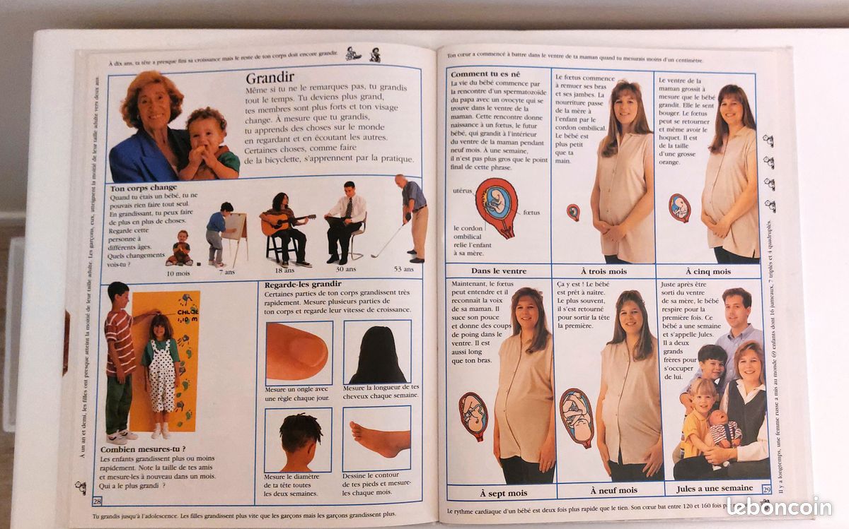 Mon grand livre du corps (image 7)