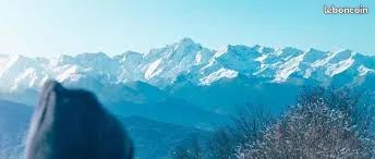 Plateux à Finir d'Aménager sur Lourdes