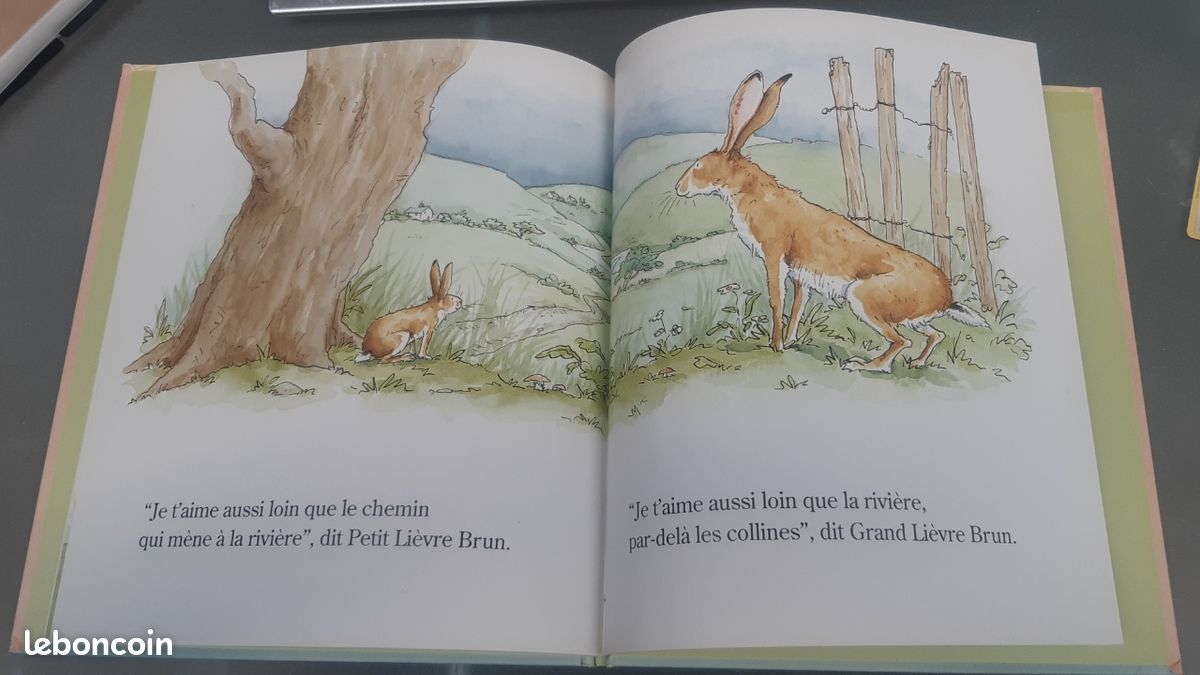 Livre "Devine combien je t'aime" (image 2)