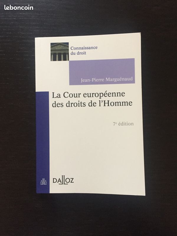 Livre La Cour européenne des droits de l'Homme (image 1)