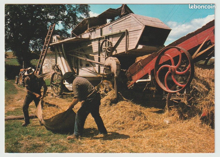 Scènes agricoles / BATTAGE, DEPIQUAGE de la moisson, fléau, batteuse : lot de 16 cartes postales différentes (image 1)