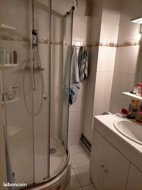 Appartement 3 pièces 54 m² - Limoges 87000 (image principale 6)