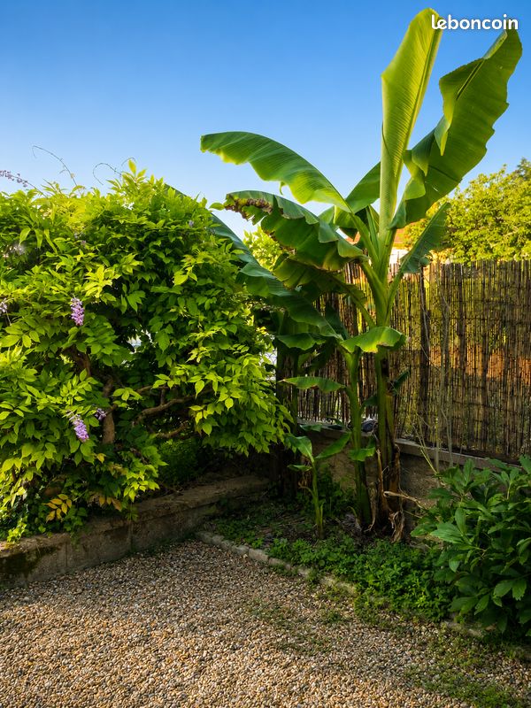 Maison 7 pièces 157 m² · à Mâcon · 157 m² · 319 000 €