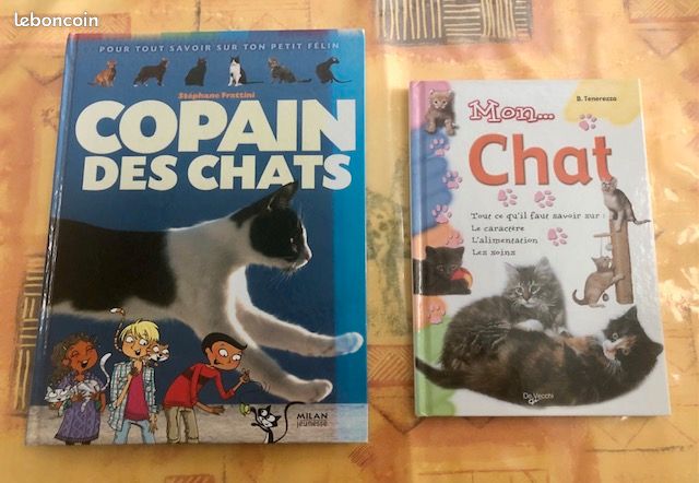 Lot 2 livres jeunesse sur les chats (image 1)