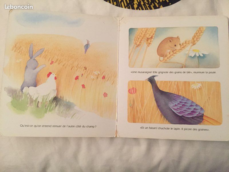 La poule et le lapin (image 2)