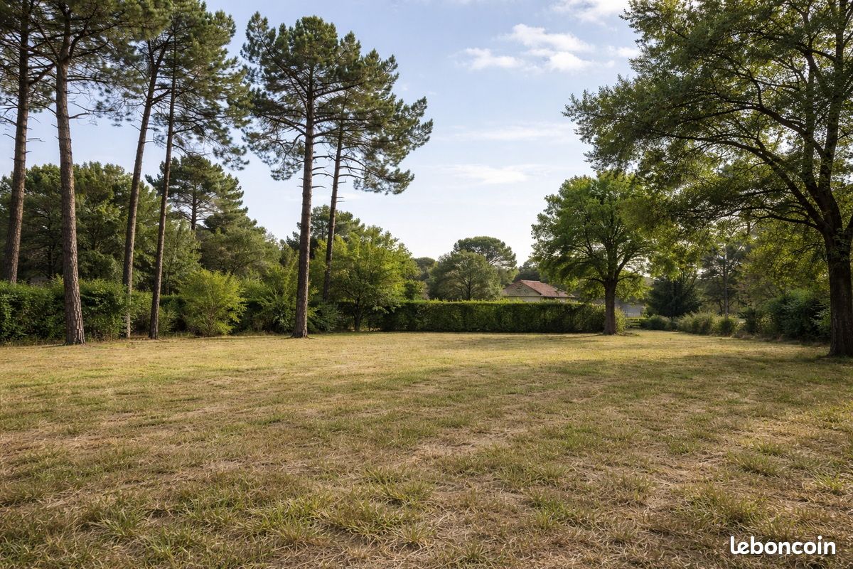 Terrain 1000 m² · à Saint-Christoly-de-Blaye · 1 000 m² · 43 000 €
