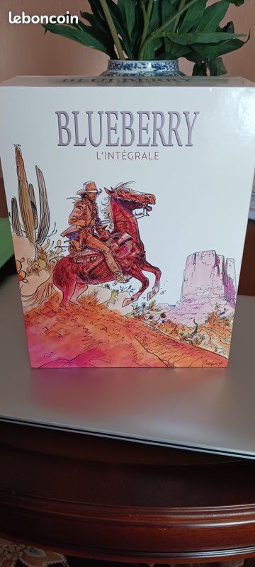 Coffret intégrale de blueberry (image 1)
